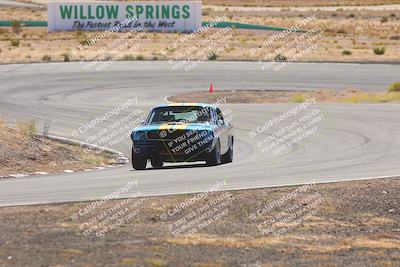 media/Oct-25-2025-West Coast Racing (Sat) [[9fdcbcd09c]]/Yellow group/Turn 4/